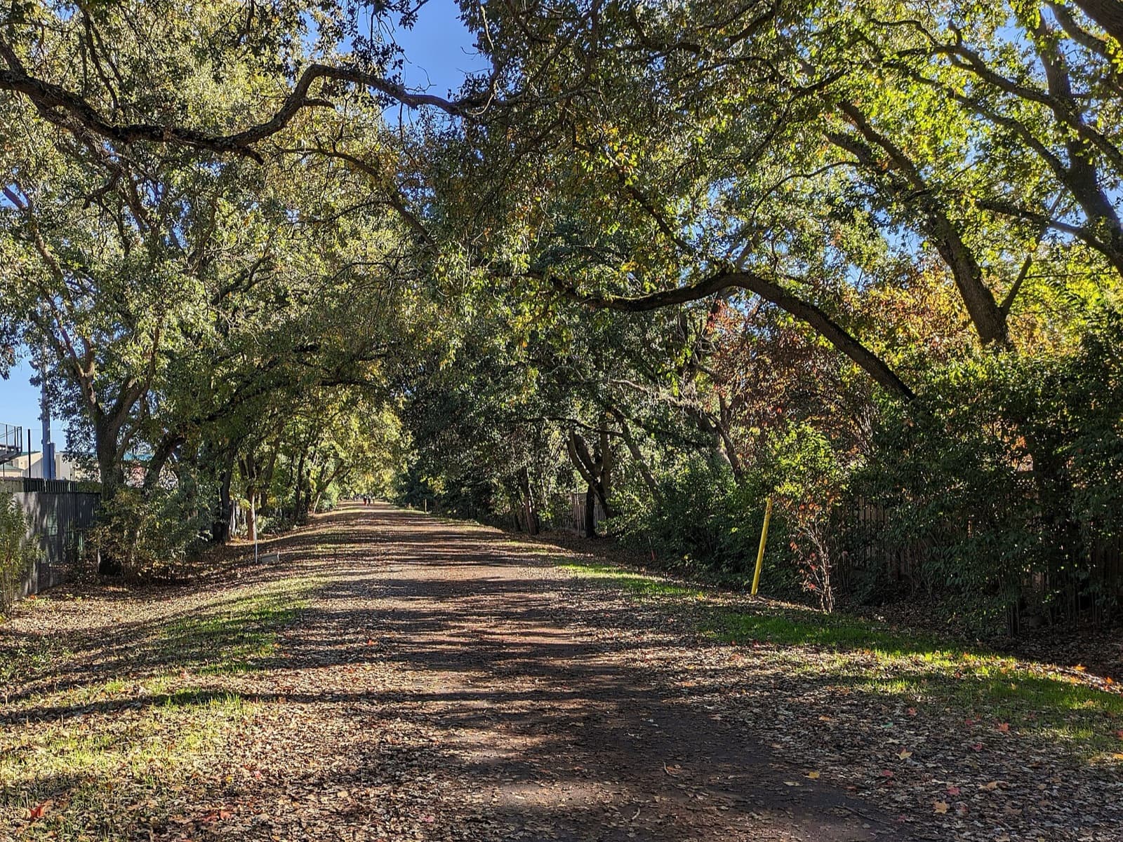 Iron Horse Trail