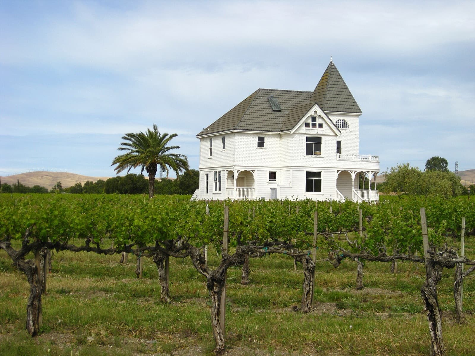 Live music at Livermore wineries